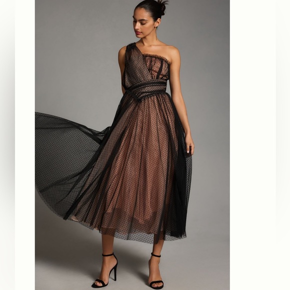 Anthropologie Tulle Pot Maxi Dress Sz 6 - Picture 1 of 4